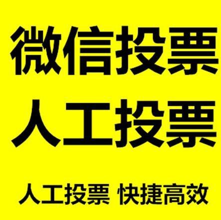邵阳市投票活动拉票能被查出来吗？如何操作能不被发现？